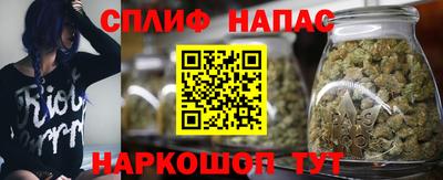 прущие грибы Кимры