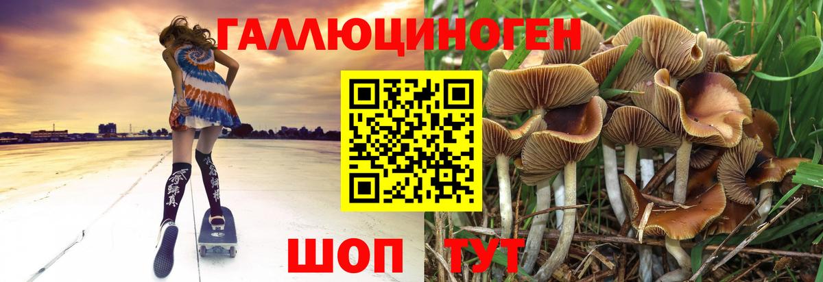 Галлюциногенные грибы Magic Shrooms  Галлюциногенные грибы Psilocybe  Вход с VPN  Волгоград 