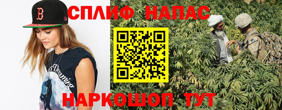 Конопля планчик  Канабис индика  Бошки Шишки индика  Волгоград  Вход с VPN  Бошки марихуана планчик 